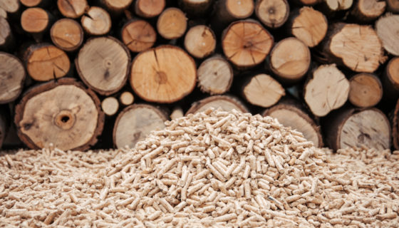 De alomtegenwoordige biomassa inspireert de pers.