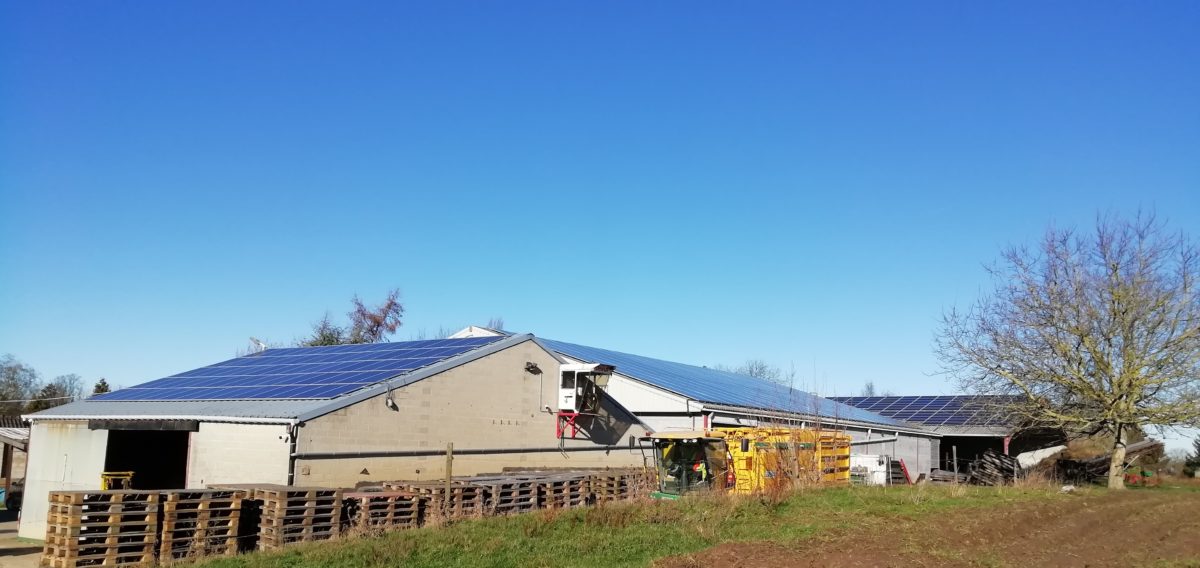 831 zonnepanelen op de daken van een landbouwbedrijf.