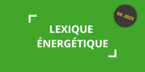 Lire la suite à propos de l’article Lexique